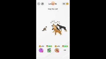 Braindom level 46 help the cat
