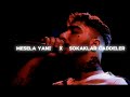 Sokaklar Caddeler X Mesala Yani Kayra Slowed Reverb