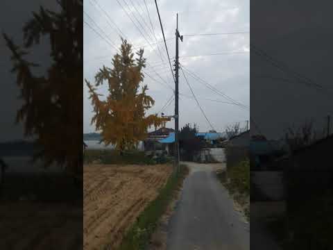 [TJ노래방라운지] 잘있거라공항이여 - 진송남
