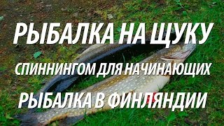 КАК ЛОВИТЬ ЩУКУ НА СПИННИНГ ДЛЯ НАЧИНАЮЩИХ. РЫБАЛКА В ФИНЛЯНДИИ НА ЩУКУ