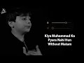 Kiya Muhammad Ka Pyara Nahi Hun (Without Matam Vocals Only) | Ali Shanawar | Now Vocals