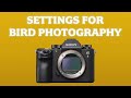 Sony Camera Settings for Bird & Wildlife Photography: My Setup and Custom Buttons for a9 a7R III IV