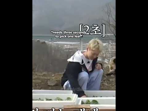 Hoshi The Lettuce Fairy Hoshi Seventeen Svt Kpop Shorts