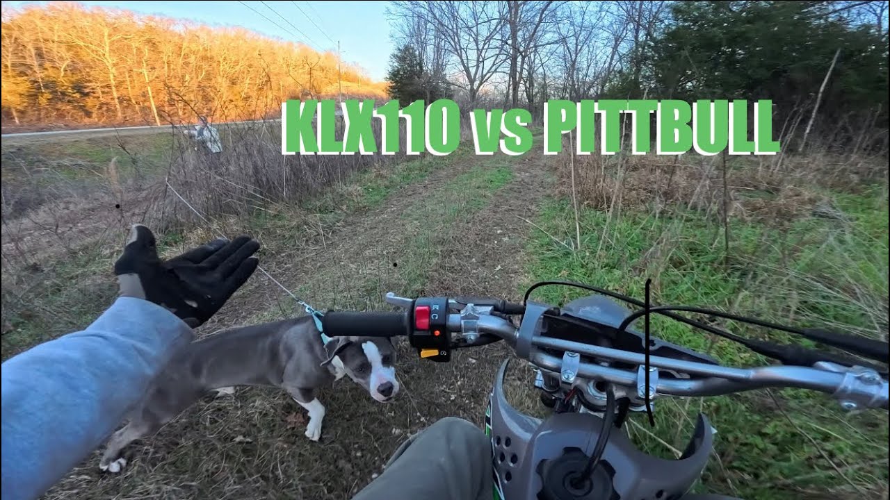 BIT BY A DOG RIDING MY NEW KLX110