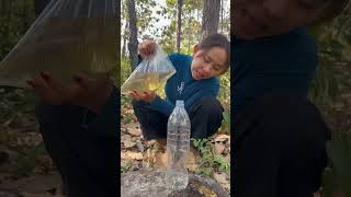 Survival Skills: easy methood saving water transfer to bottle #camping#bushcraft #water#smart💦💦