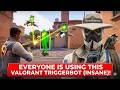 EVERYONE Is Using This Valorant Triggerbot (INSANE) !!
