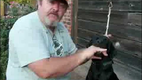 First Step In Force Fetch