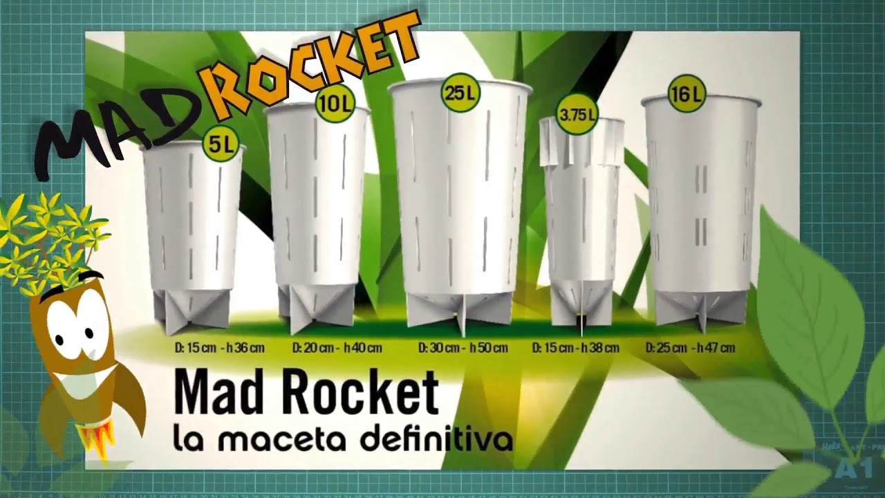 MAD ROCKET ENGLISH