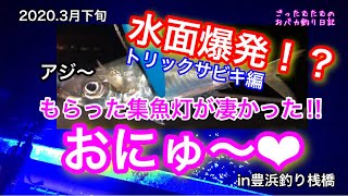 【豊浜】水面爆発⁉おにゅ～の集魚灯が凄かった‼テレビで話題の釣り場でトリックサビキでアジを狙う。【釣り桟橋】