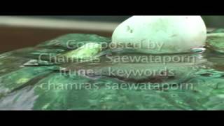 Journey To Inner Peace Meditation Music By Chamras Saewataporn