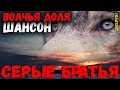 Волчья Доля. Сборник шансона о волках. Серые братья 2020