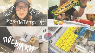 : KOREA VLOG DIARY|   /   ?/   | 5-6.04.2024
