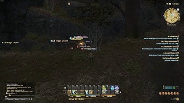 Final Fantasy 14 Bug