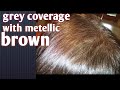 grey hair coverage at home /anil blue secrets