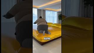 Çin’deki Bu Yatak Resmen Sihirli 😱🛏️