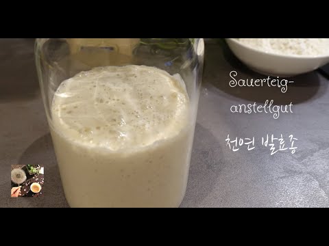 천연발효종/ 독일식(?)으로 간단하게/ Sourdough starter/ Levain/  Sauerteigansatz