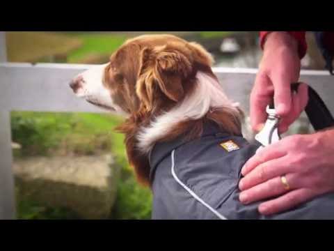hiking-with-your-dog?-check-out-this-waterproof-dog-coat-/-jacket