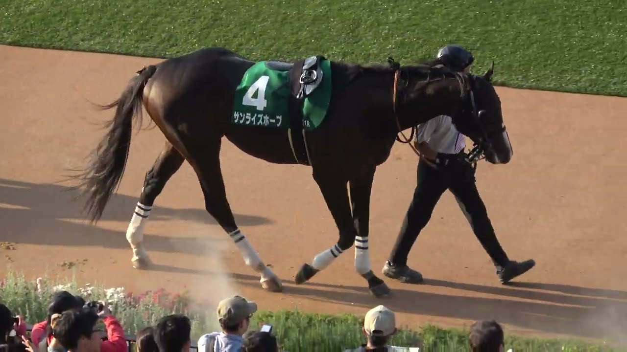 第13回 みやこステークス 2023 優勝馬ゼッケン みやこステークス2023】全頭パドック 現地映像 セラフィックコール