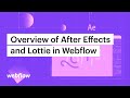 Getting started with After Effects and Webflow — After Effects & Lottie in Webflow