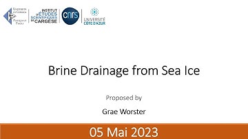 Brine Drainage from Sea Ice - Grae Worster