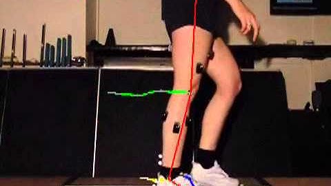 Gait Analysis Digitisation.avi