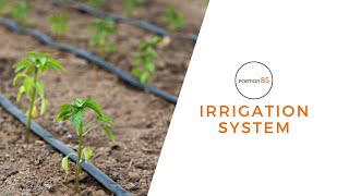 Work In Progress . Drip Irrigation System Installed