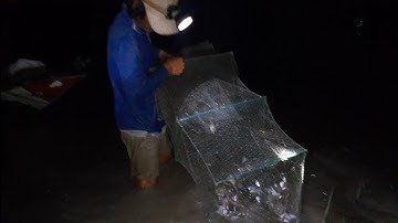 thăm lú 12 cửa ngục dính cá thấy ham mùa nước nỗi