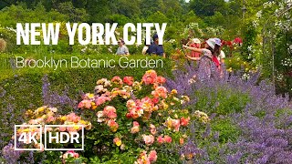 New York City Walking Tour - Brooklyn Botanic Garden - Spring 2023