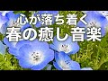 【春の癒しBGM】春を感じて心が落ち着く優しいリラックス音楽、自律神経を整え不安やストレス解消のためのヒーリングミュージック/睡眠用・作業用・勉強用BGM