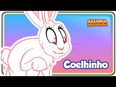 Vídeo: Mini Rex Rabbit