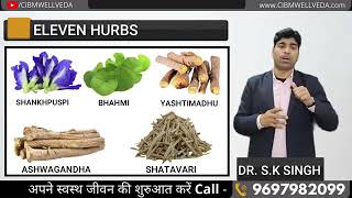 How to Boost your brain CIBM WELLVEDA BRAIN BOOSTER Dr S K Singh360