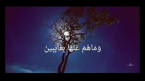 القارئ احمد خضر : تلاوة من سورة الانفطار💗{وماهم عنها بغائبين وما ادراك ما يوم الدين}