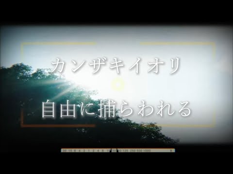 カンザキイオリ-自由に捕らわれる(2024年 ver.)【中日字幕】