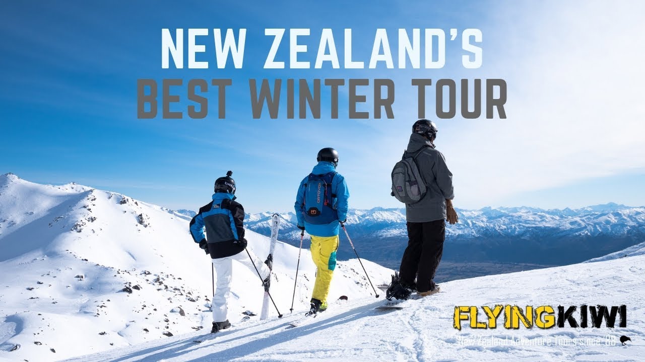 flying kiwi tours new zealand