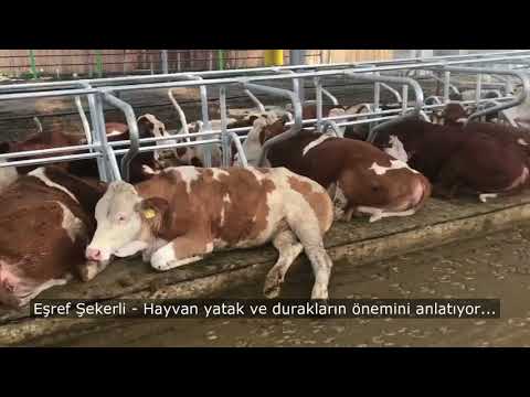 Video: Yatak eğimi nedir?