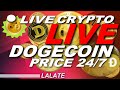 CRYPTO LIVE NEWS DOGECOIN LIVE STREAM NOW | DOGECOIN LIVE CHART LIVE STOCK PRICE 🚀BEST COIN TO BUY!!