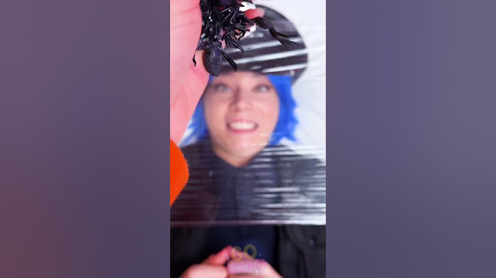 Arachno-Candy-Phobia 😨🕷️ Face Your Fear of Sweet Spiders! #Challenge