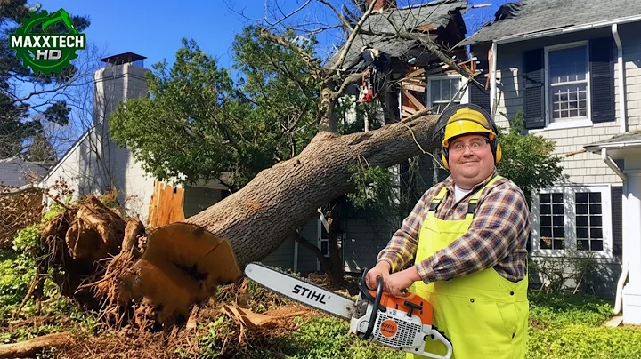 Idiots With Chainsaws: Tree Cutting Fails & Tree Falling on Houses Compilation #16