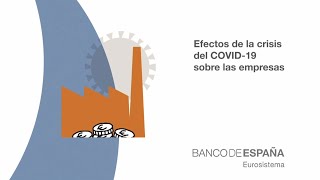 IA20 - Efectos de la crisis del COVID-19 sobre las empresas screenshot 3