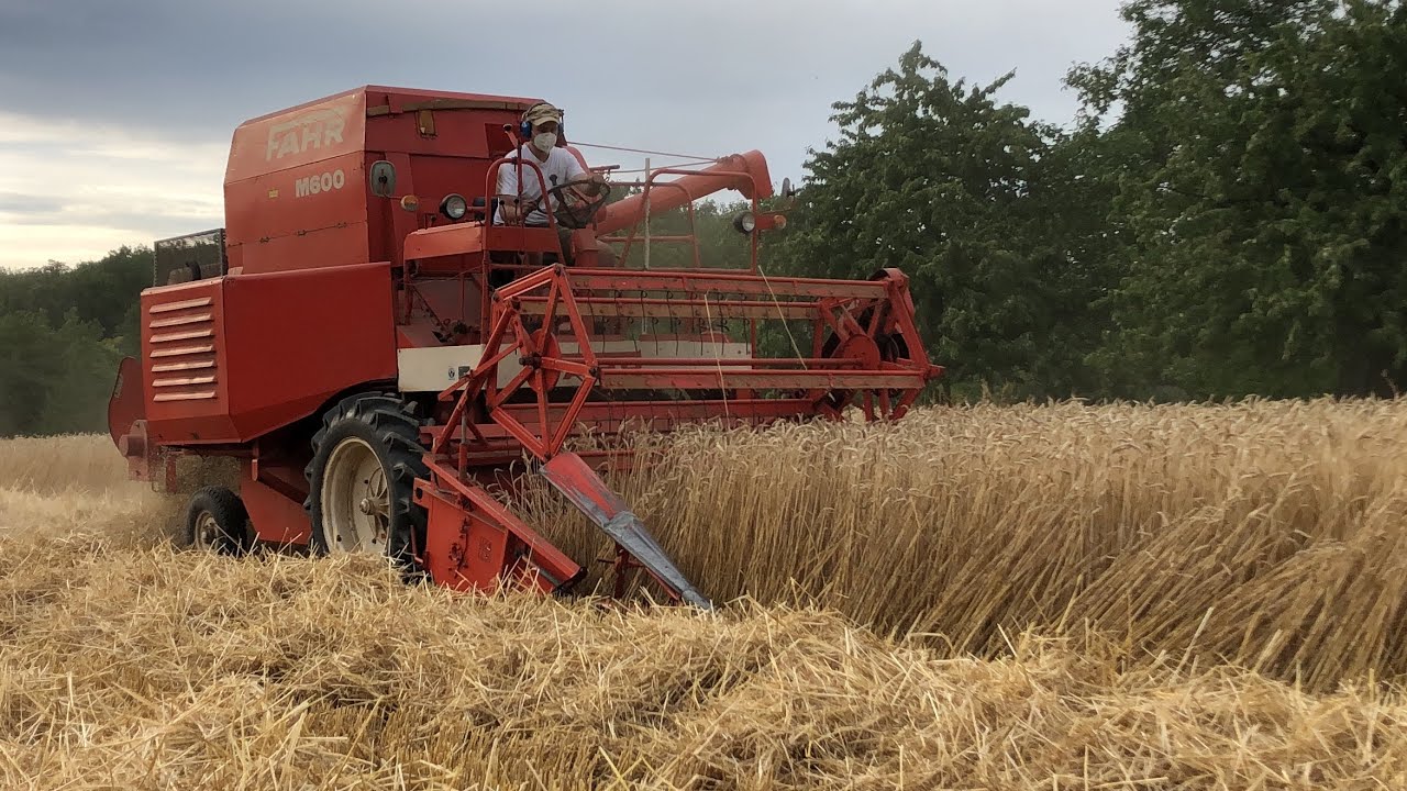 FAHR M600 Mähdrescher im Einsatz / Mähdrescher bei Getreideernte in Aktion