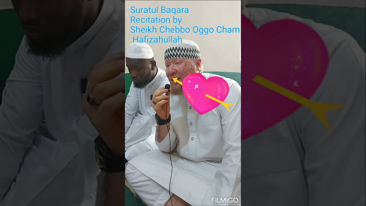 🇬🇲Suratul Baqara Recitation by Sheikh Chebbo Oggo Cham Hafizahullah 🎶🎧🎤❤️💞💝🇬🇲🇬🇲🇬🇲🇬🇲