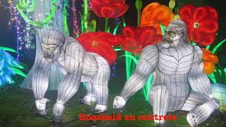 Download Lagu Boosheid en controle MP3 Download Lagu Boosheid en controle MP3