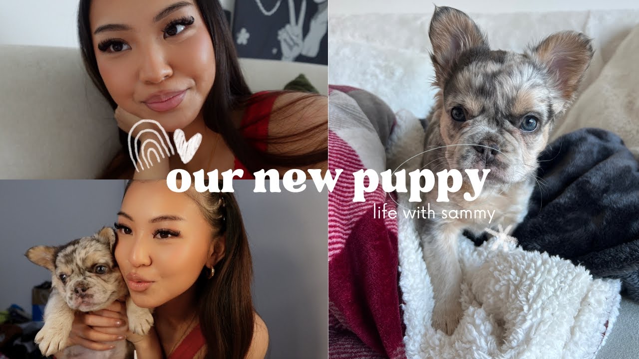 VLOG 🐾 48 hours with our new puppy!