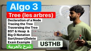 Algo 3 Tree (les arbres) شرح بالعربية