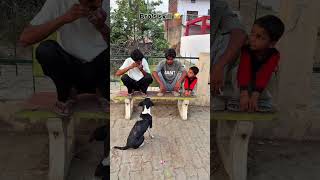 Crazy epic fails 😂😂😂 Ep 51#shorts#memes #fails #funnymoments