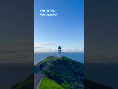 Video: Cape Reinga: Yeni Zelanda'nın En Kuzey Ucu Rehberi