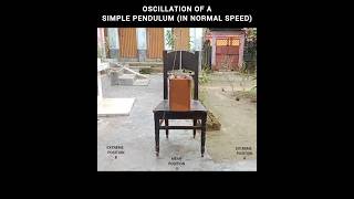 OSCILLATION OF A SIMPLE PENDULUM (AT NORMAL SPEED & IN SLOW MOTION)