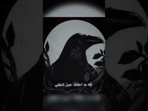 الشيخ مبروك زايد الخير من يقبل المديح من أعدائه يعش حزينا أو يموت بدائه 