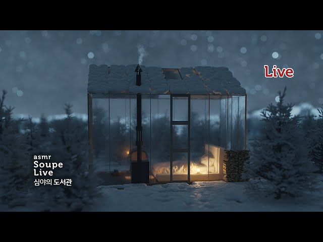 심야의 도서관 | 눈내리는 오두막, 장작타는소리+기타음악 Study with me 스윗미