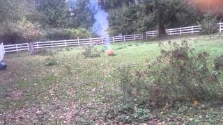 Excalibur Shell Blowing Up Large Pumpkin